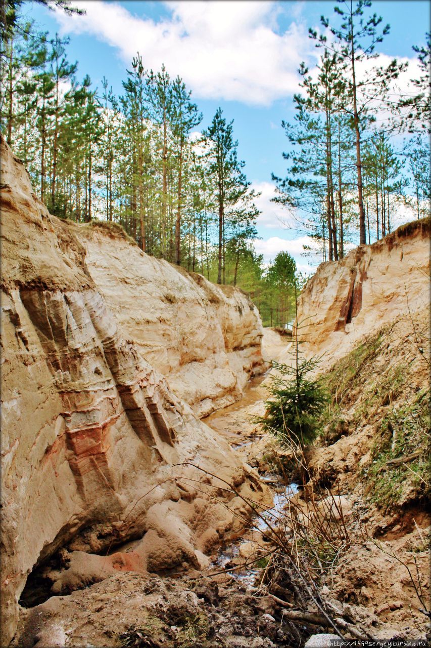 Малый Лужский каньон или История обычного лесного ручья Луга, Россия