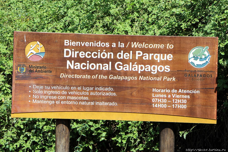 все остальное практически сплошь эндемики Галапагосские острова, Эквадор