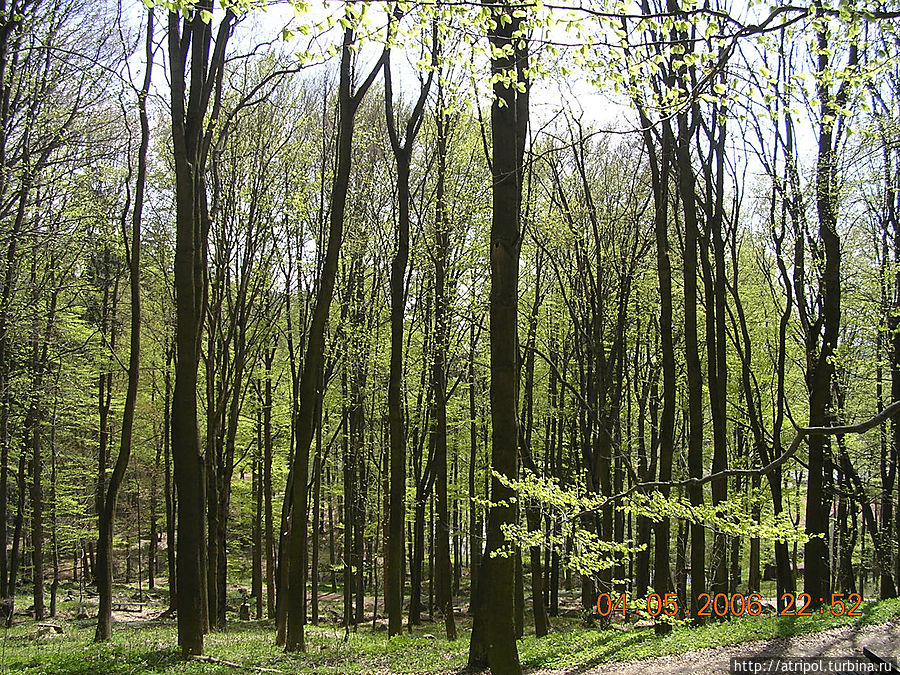 Сказочный лес Карловы Вары, Чехия