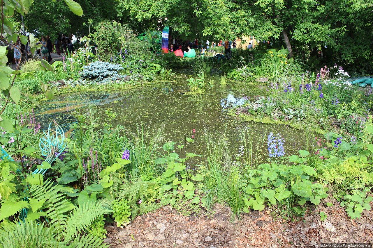 Moscow Flower Show 2017. Фотоотчёт и впечатления. Москва, Россия