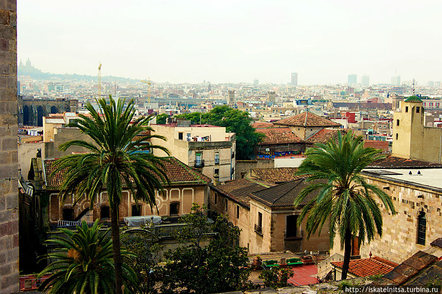 Вид с Catedral de Barcelona