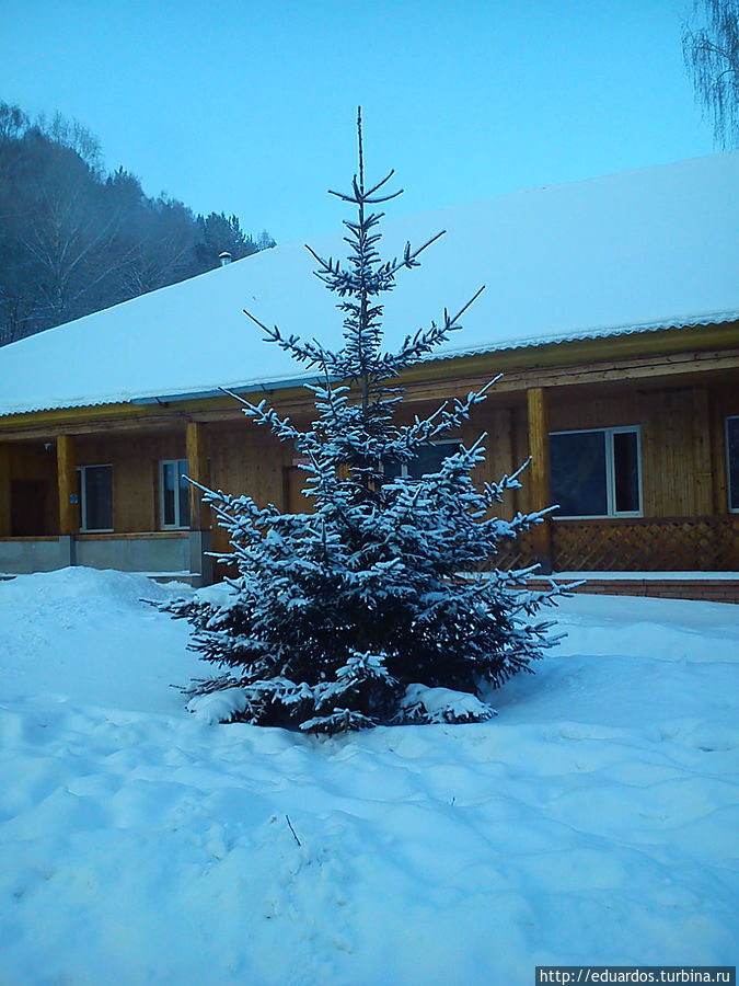 С наступившим вас 2013 !!!