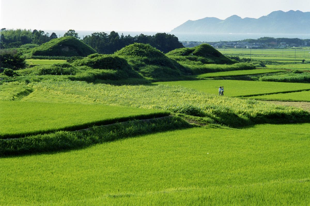 Симбару-Нуяма группа курганов / Shimbaru-Nuyama Mounded Tomb Group