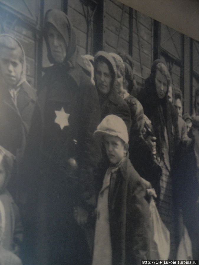 Аушвиц...май  2013 Освенцим, Польша