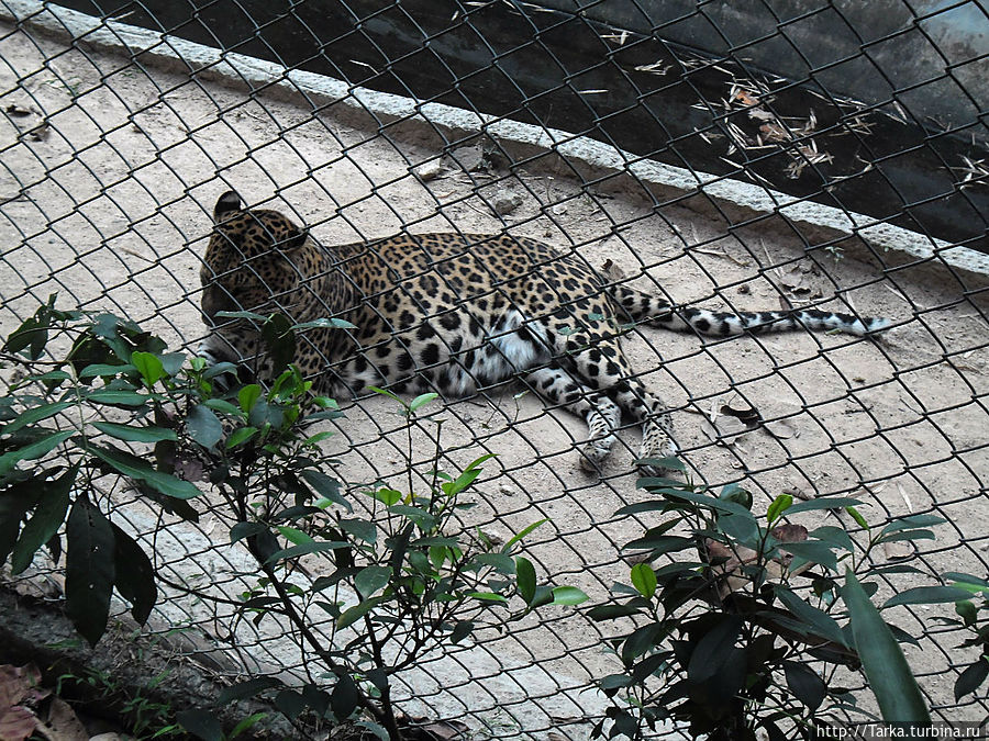 Чиангмай Чиангмай, Таиланд