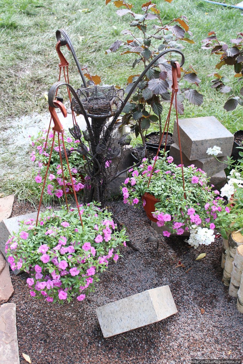 Moscow Flower Show 2017. Фотоотчёт и впечатления. Москва, Россия