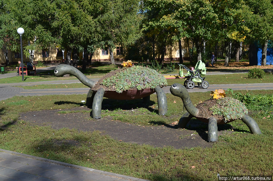 Семейство черепашек Тамбов, Россия