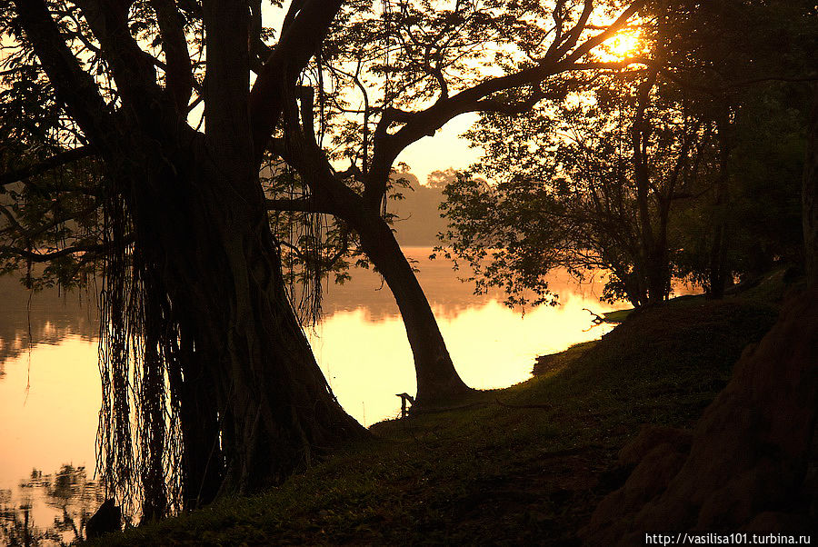 Пруд вокруг Анкор Вата