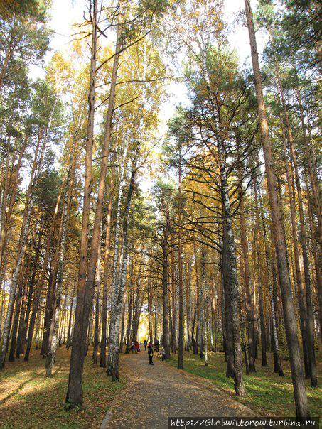 Прогулка по Гилевской роще в золотую осень Тюмень, Россия