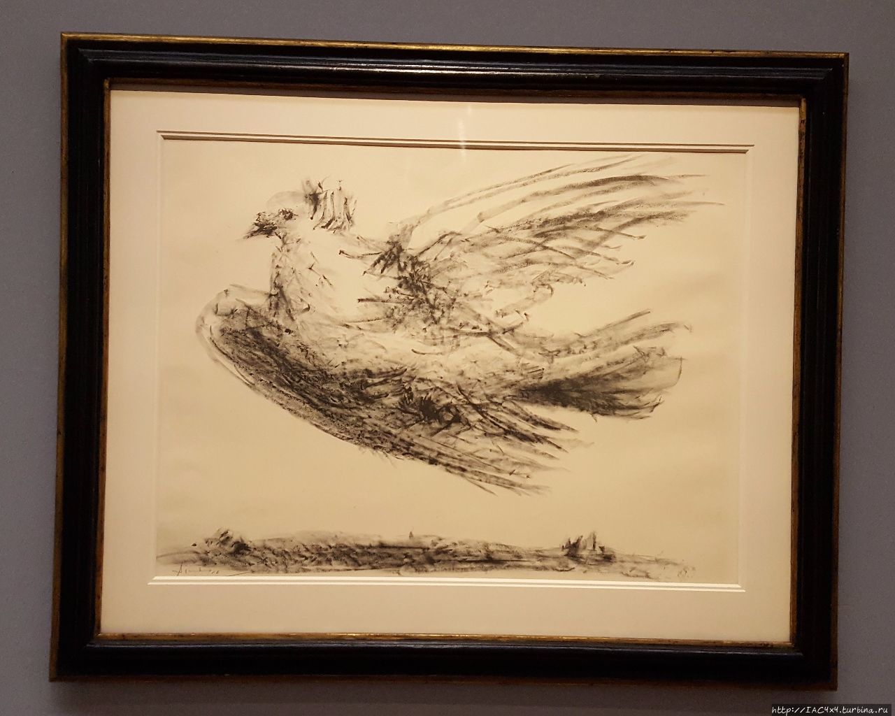 Пабло Пикассо, Летящая голубка (1950) Вена, Австрия