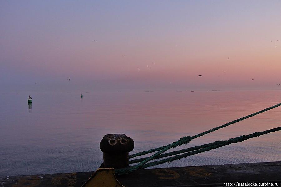 Два счастливых дня в Уолфиш-Бей. Уолфиш-Бей, Намибия