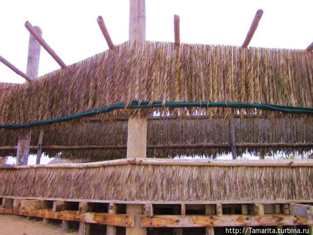 НАМИБ, дай мне на тебя посмотреть! Свакопмунд, Намибия