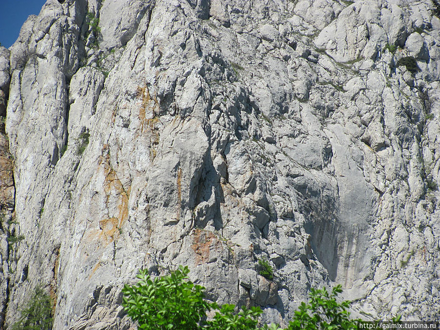 Мужчина с гривой волос, а ему наперерез то ли бык, то ли  тур... Справа молодой охотник, или егерь с ружьем и в черной кепи. А посередине Дед Мороз с огромнейшей бородой.