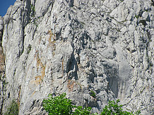 Мужчина с гривой волос, а ему наперерез то ли бык, то ли  тур... Справа молодой охотник, или егерь с ружьем и в черной кепи. А посередине Дед Мороз с огромнейшей бородой.