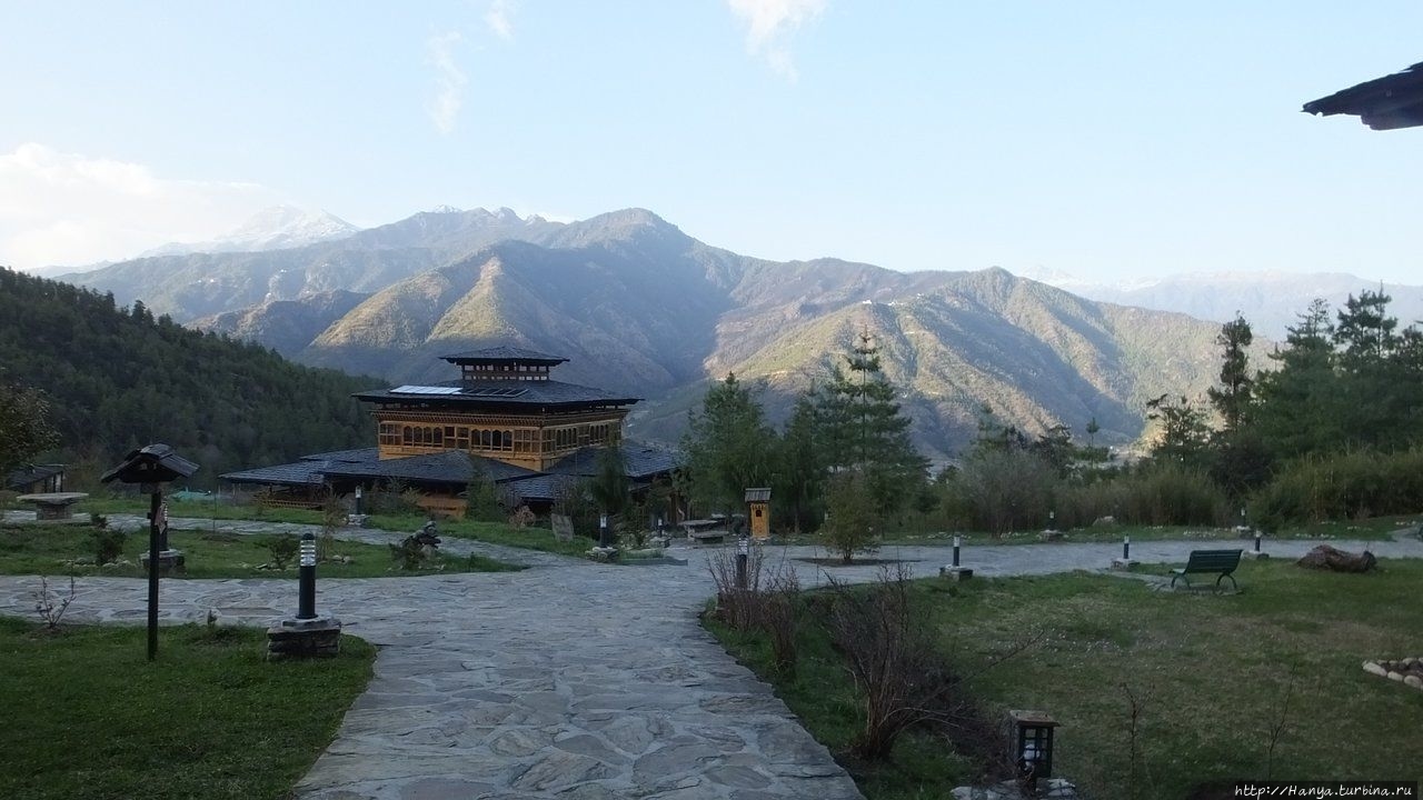 Из интернета