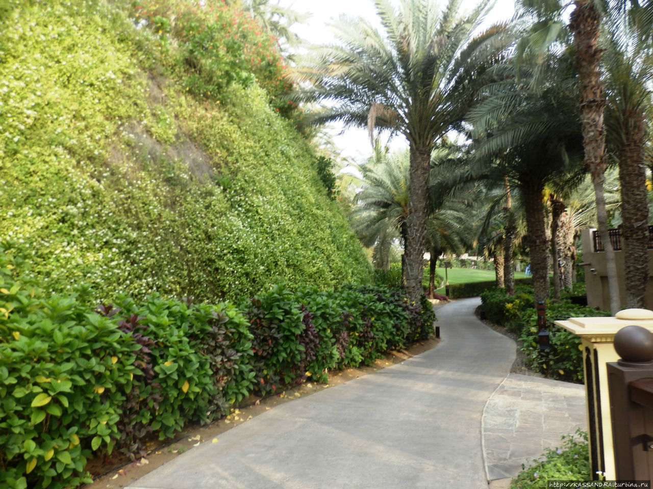 Сады  Джумейры Дубай, ОАЭ