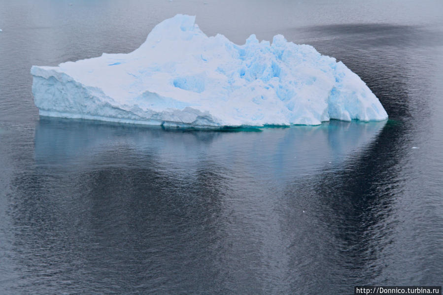 Первый снег и первые пингвины... Остров Данко, Антарктида