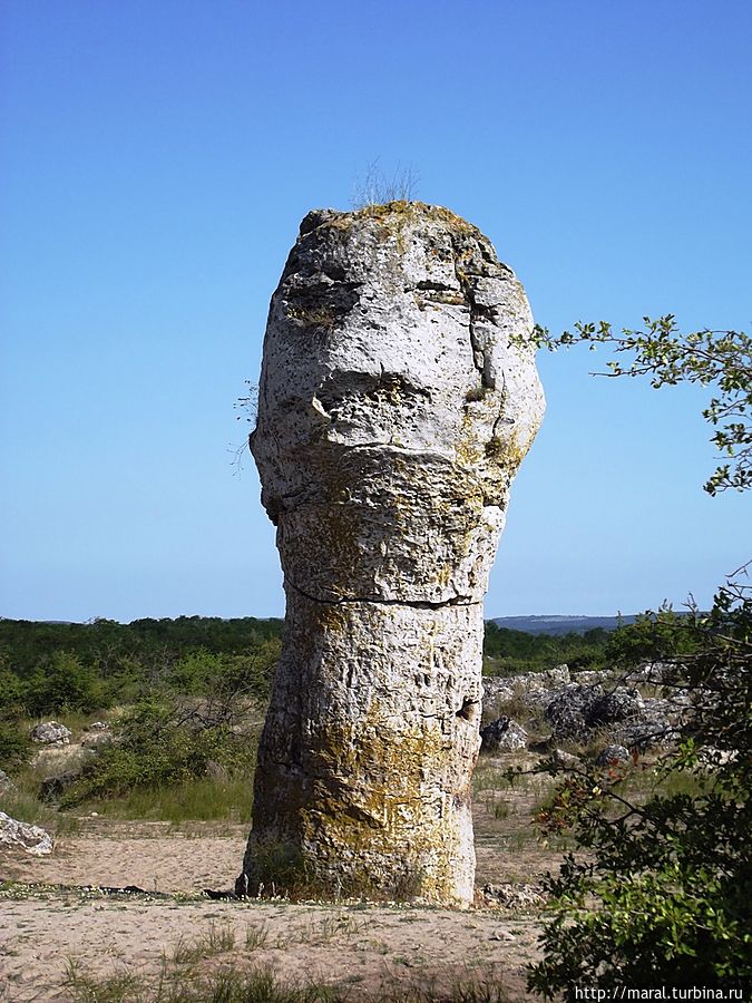 Одинокий человек