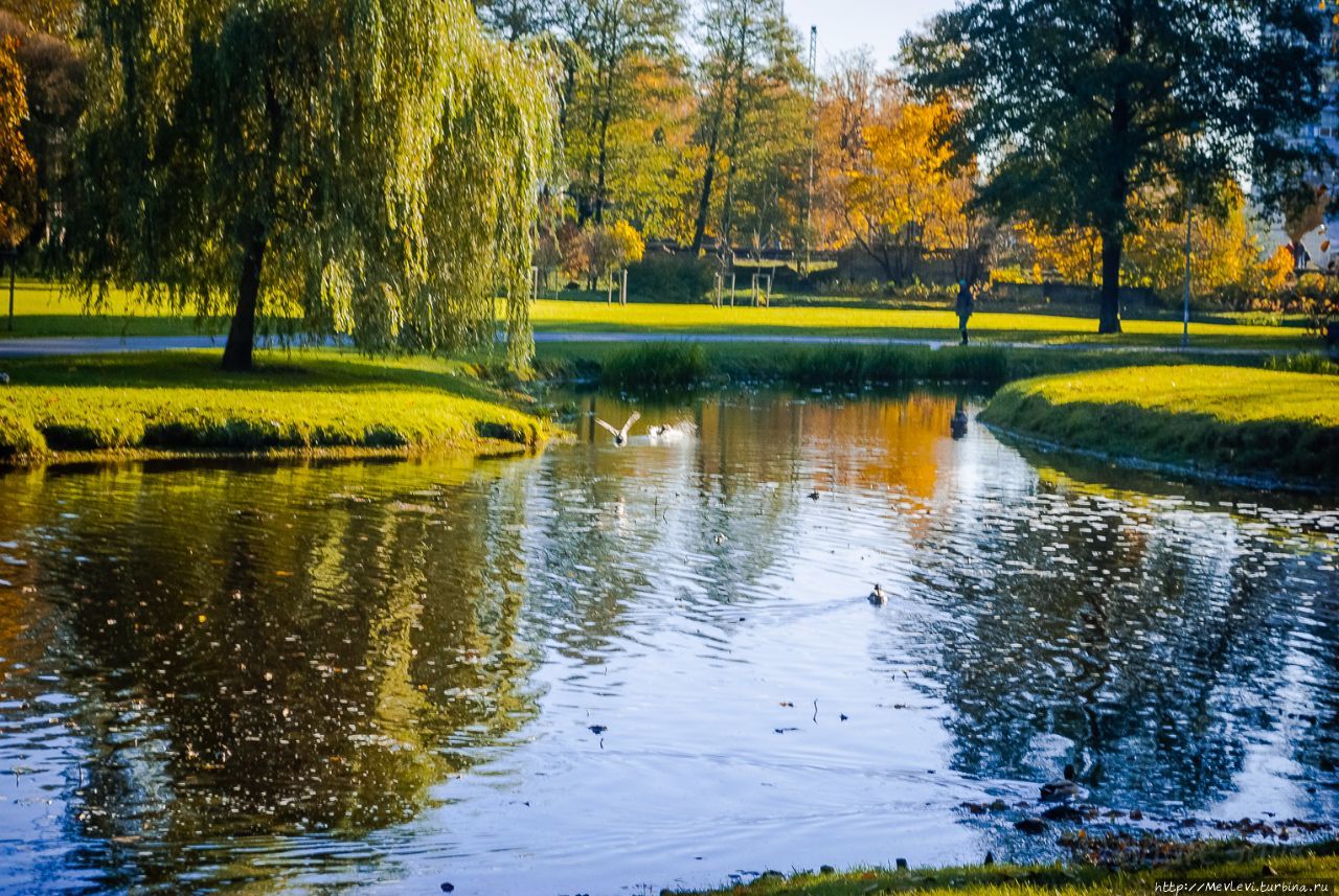 Осень в нашем парке Рига, Латвия