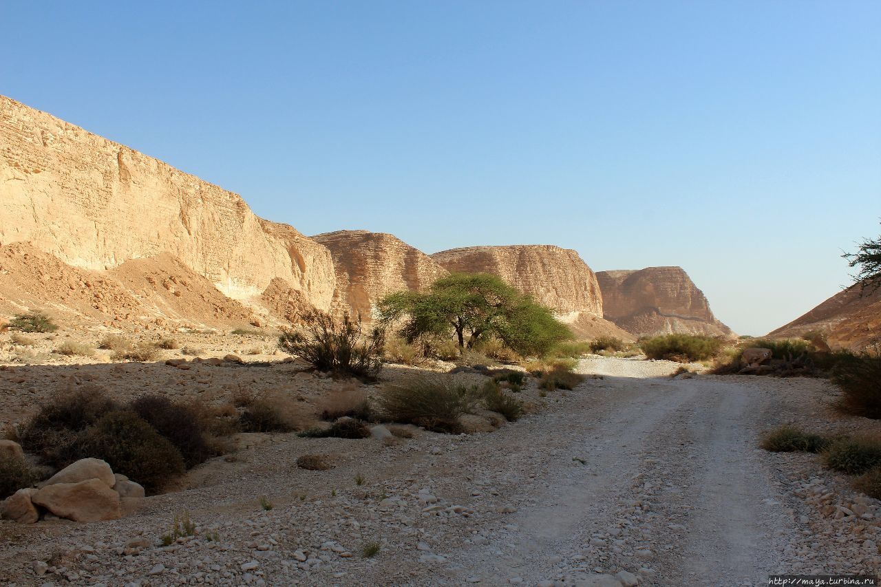 Ущелье  Барак: Здесь начинается Африка Арава Пустыня, Израиль
