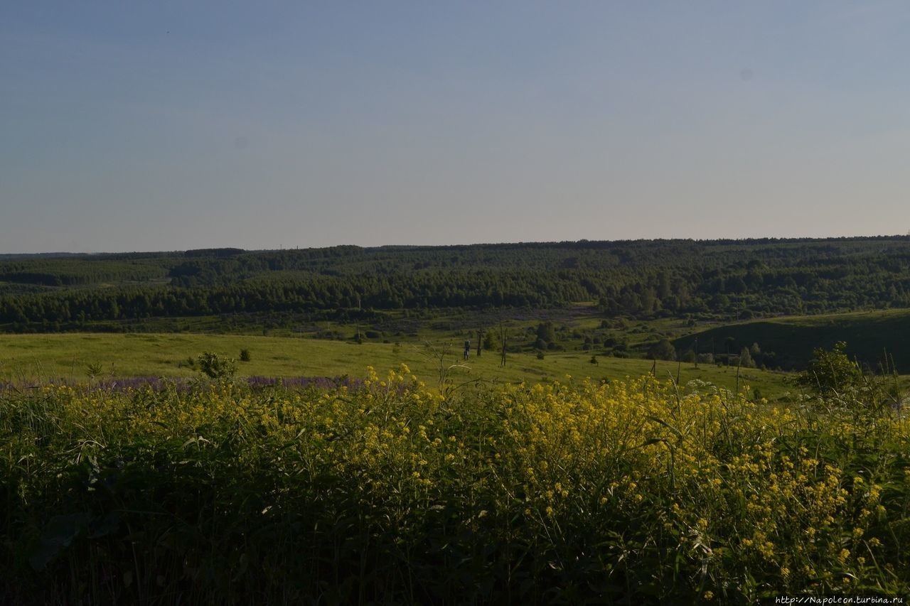 Церковь Николая Чудотворца Новые Березники, Россия