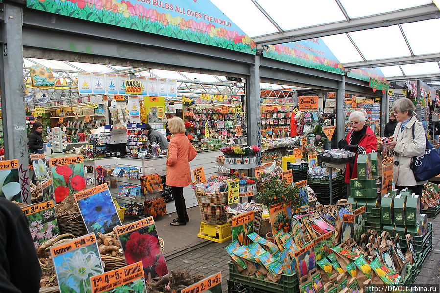 Bloemenmarkt — цветочный рынок Амстердама Амстердам, Нидерланды