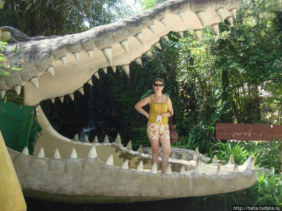 Крокодилы здесь в любом обличии Пхукет, Таиланд