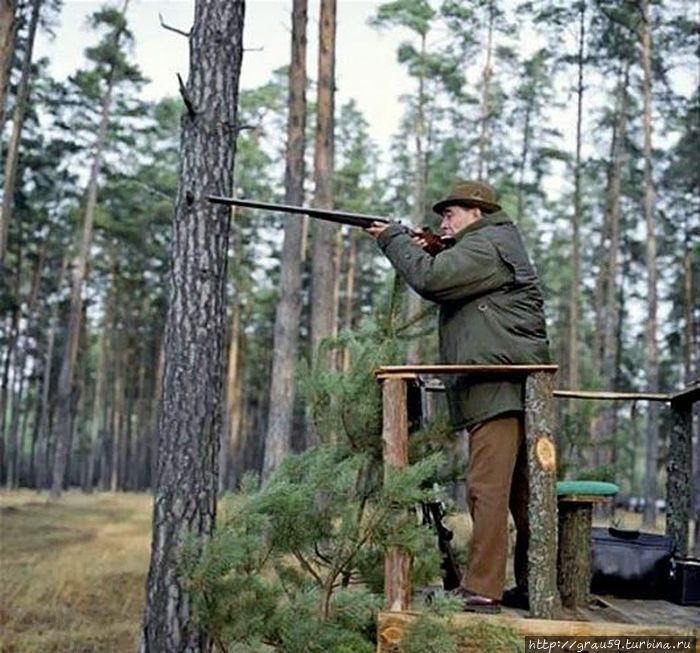 Л.И.Брежнев на охоте (фото из Интрнета) Крымский природный заповедник, Россия