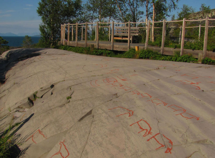 Финнмарк.  Ягоды, иван-чай и рисунки древних Альта, Норвегия