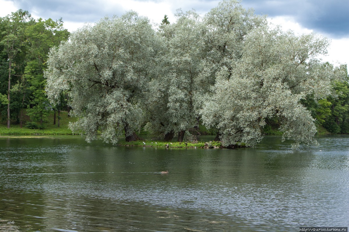 Гатчина Гатчина, Россия