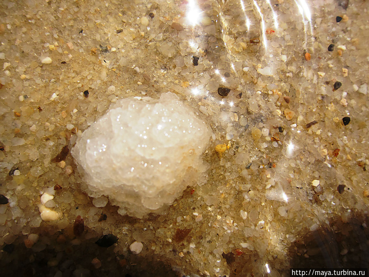 Кристаллы соли нп дне Мер