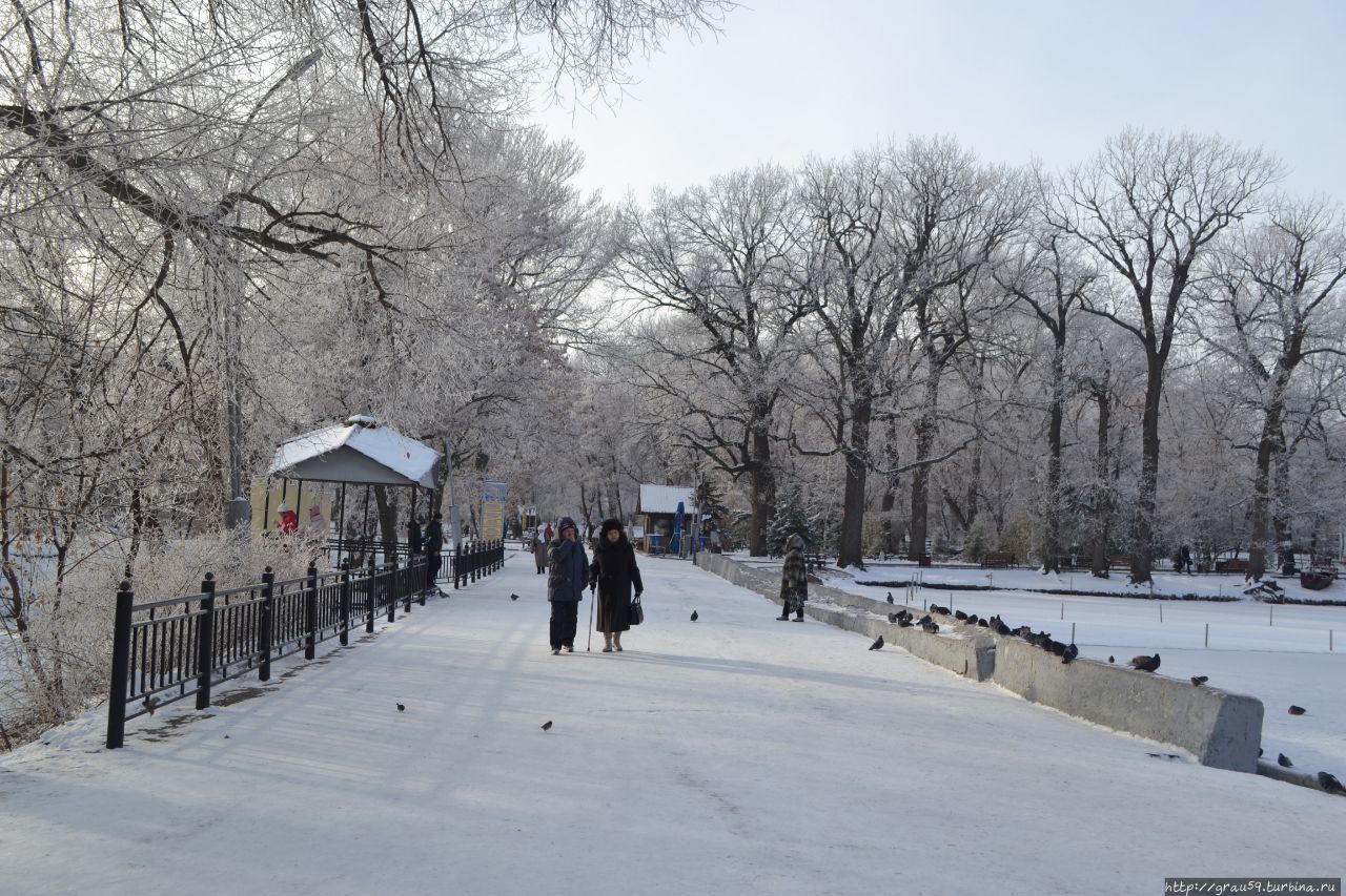 Городской парк культуры и отдыха 