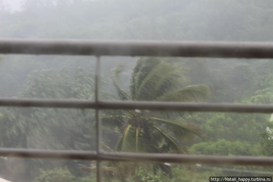 Тропический циклон Бежиза Реюньон