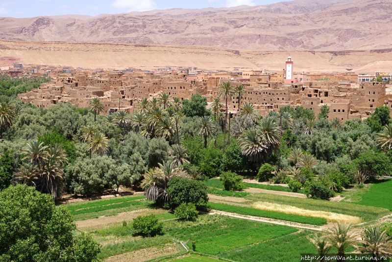 Оазис Марокко