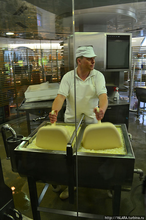 Здесь можно увидеть современный процесс изготовления сыра через стеклянную стенку. Кантон Обвальден, Швейцария
