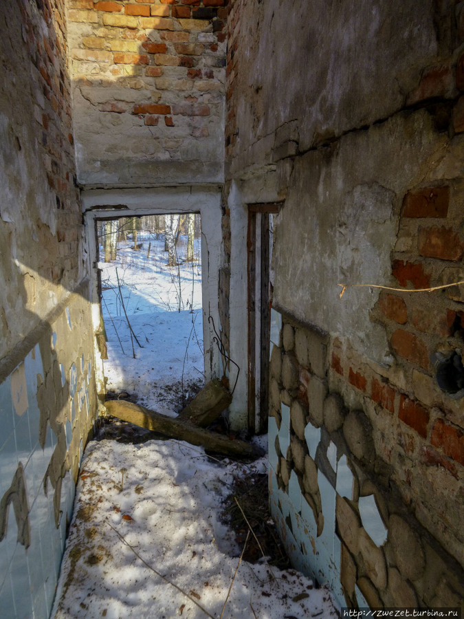 На обломках прошлого Москва и Московская область, Россия