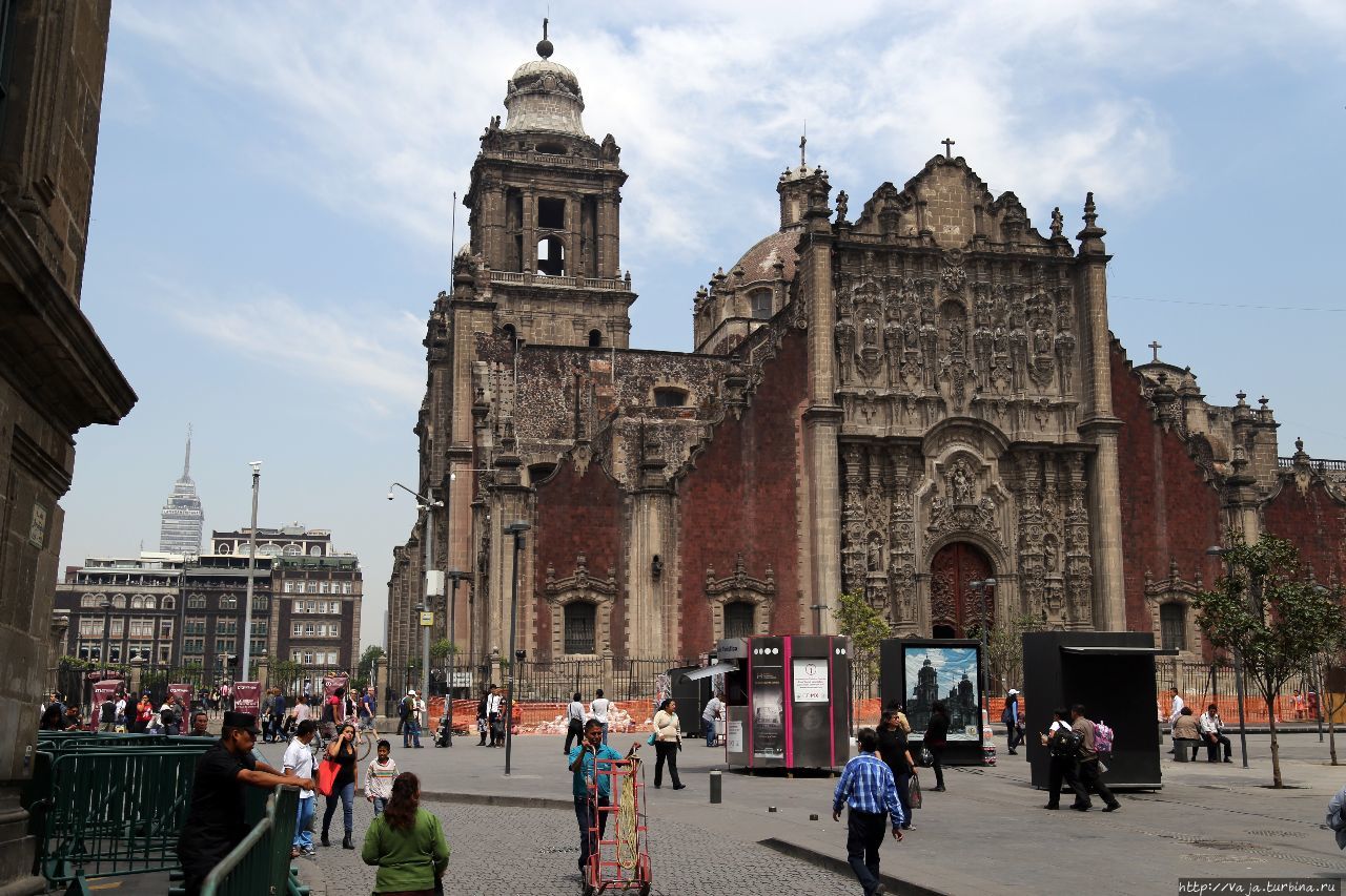 Acompanantes Mexico