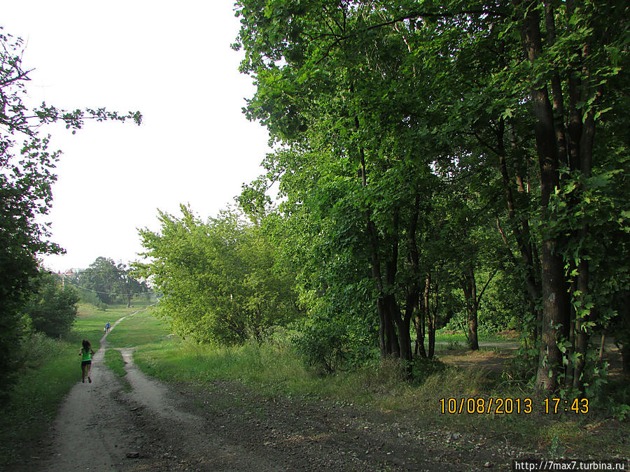 Немного погуляем по лесу Саратов, Россия