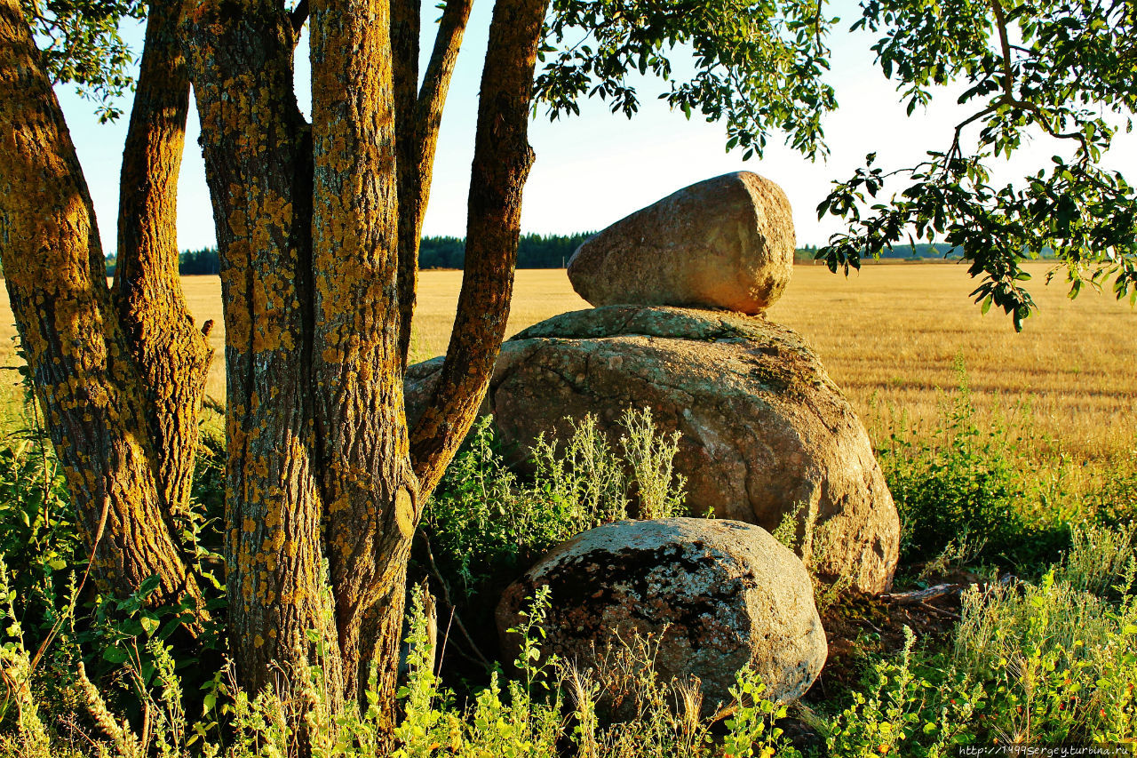 Воспоминания #3 Санкт-Петербург и Ленинградская область, Россия