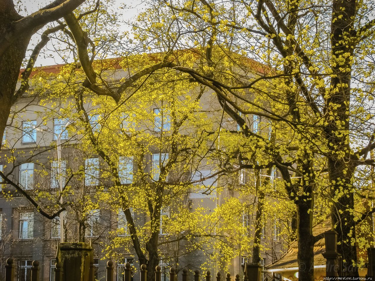 Май в Риге Рига, Латвия