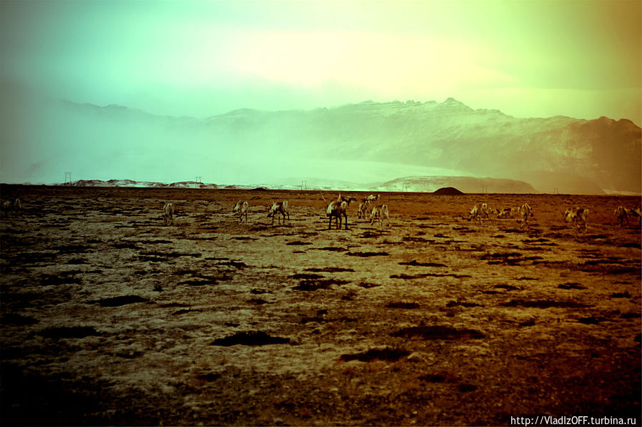 По дорогам острова. Исландия