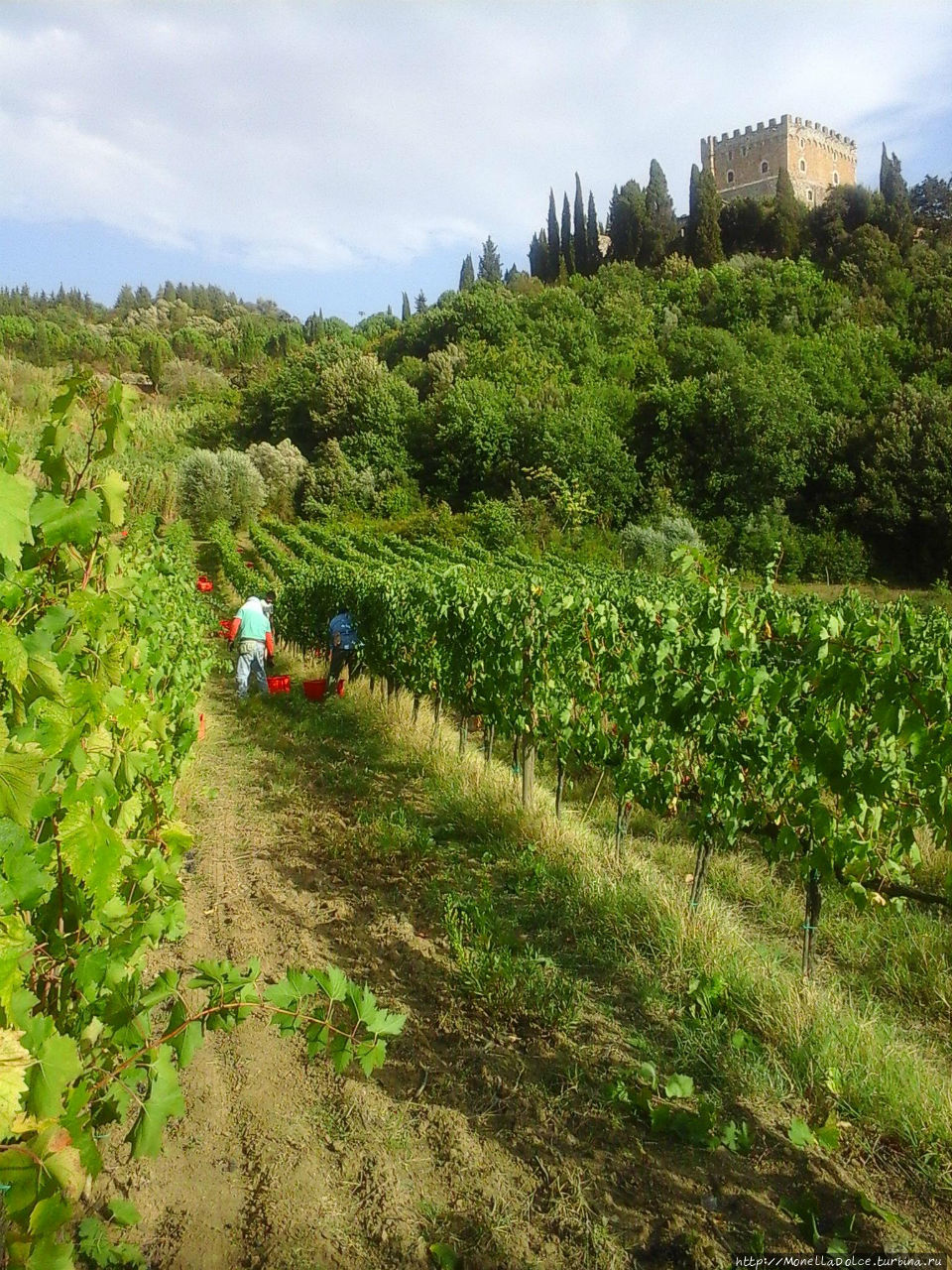 Кастелло ди Рипа д'Орчиа Кастильоне-д'Орчия, Италия