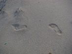 Чарские пески....и мои следы