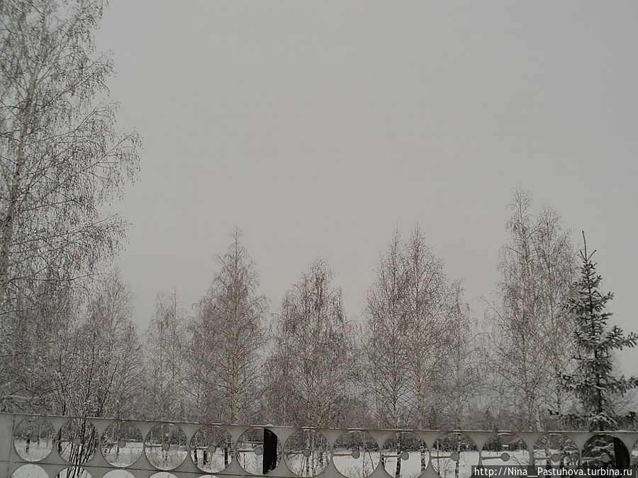 В  зимней  сказке