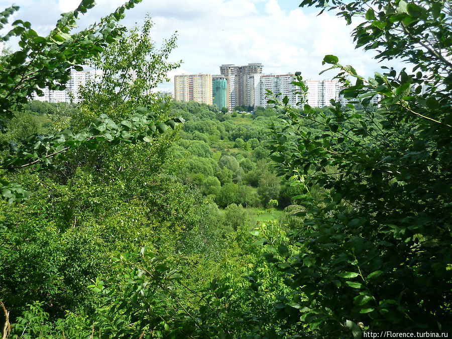 Чаша, вид сверху Москва, Россия