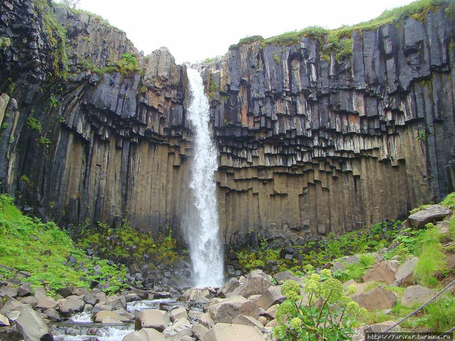 Водопад ОргАн Исландия