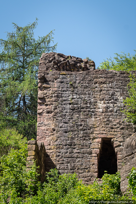 На графских развалинах. Крепость Вальдэкк Кальв, Германия
