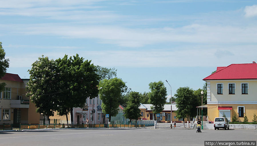 Как и многие белорусские города, Петриков считается довольно старым. Существует легенда, что он был основан еще в 10 веке ятвяжским князем, который получил при крещении здесь имя Петр, почему и стал город так называться.