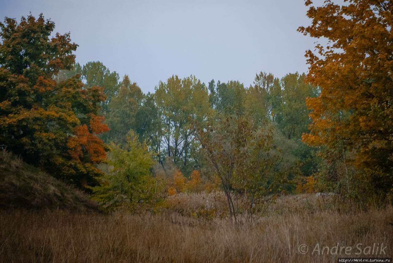 Красивая осень!!! Рига, Латвия