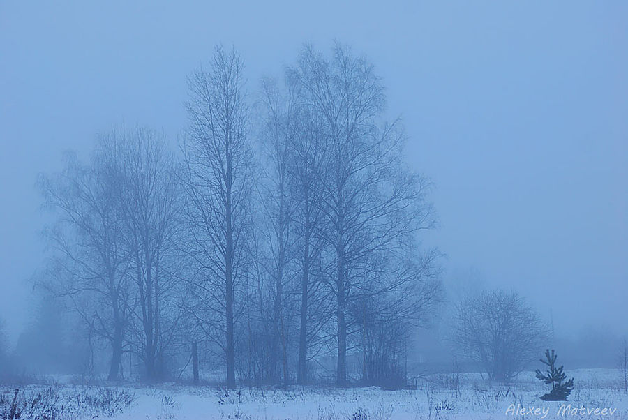 Зимний туман Новоржев, Россия